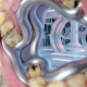 babycrackrat User Avatar