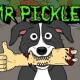 mr_pickles User Avatar