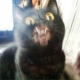 justanon User Avatar