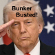 sandstorm1 User Avatar