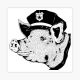 copsarebastards User Avatar