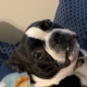 sidx User Avatar