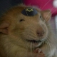 aclumsyerection User Avatar