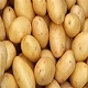 potato585 User Avatar