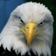 frosty_141 User Avatar