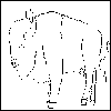 bison User Avatar