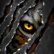 bba516 User Avatar