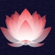 radlotus User Avatar