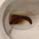 eatinass User Avatar
