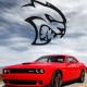 dodgesrt User Avatar