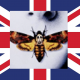 crazymoth User Avatar