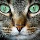 bigdogbites User Avatar