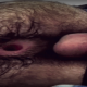 rubengoth User Avatar