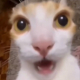 mrcannister User Avatar