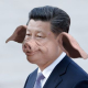 chi_jin_pussy User Avatar
