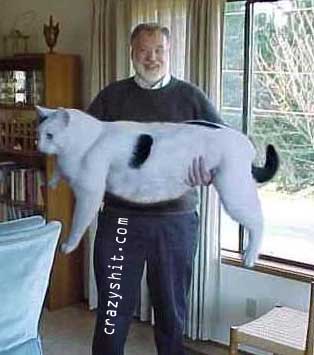 Now That Is One Big Muther Fucking Pussy
