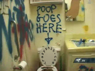 Here's Where the Poop Goes!