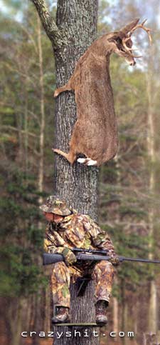 When it Comes to Hunting Deer, Ya Gotta Be Smart.