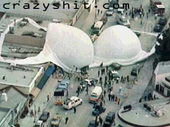 Now That is One Big Bra!