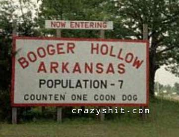 I'd Just Love to Live in Booger Hollow!
