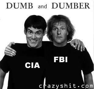 The Real Dumb and Dumber