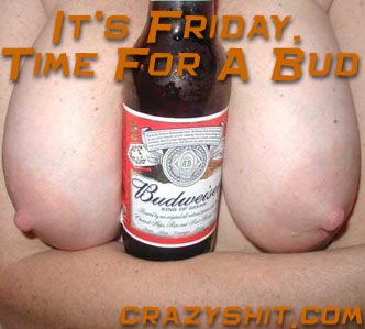 It's Friday You Should Have a Bud