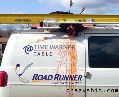 I Think Wylie Coyote Finally Got The Road Runner