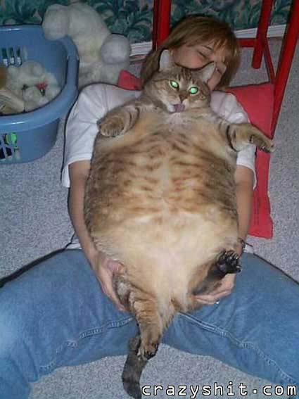 Who Wants To See A Big Fat Pussy
