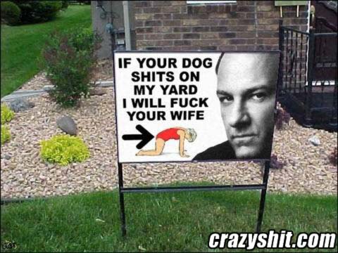 Please Don't Let Your Dog Shit on My Yard