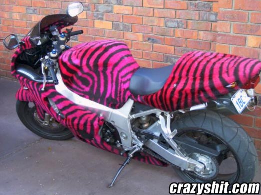 If I Was A Pimp, This Would Be My Motorcycle