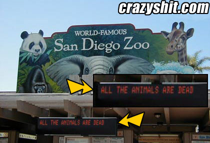 I Guess The Zoo Will Be Closed Today