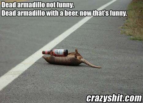 A Dead Armadillo Isn't That Funny, But....