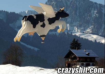 It's a Flying Cow
