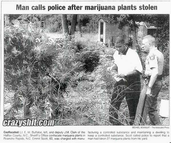 He Must Have Been High
