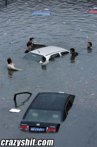 They Take Their Cars Swimming