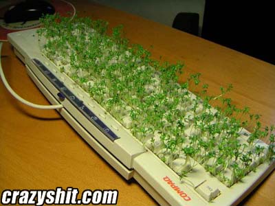 Another Great Use For Keyboards