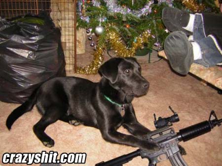 Now That's What I Call A Hunting Dog