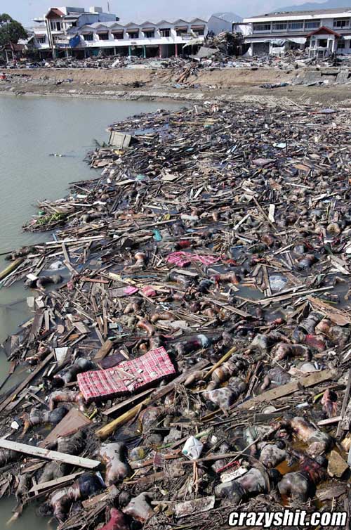 Tsunami Aftermath Picture