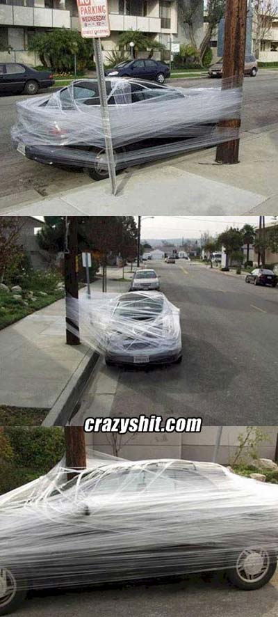 I Bet They Will Think Twice About Parking In That No Parking Zone
