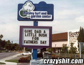Did Your Dad Get a Little Bush for Father's Day?