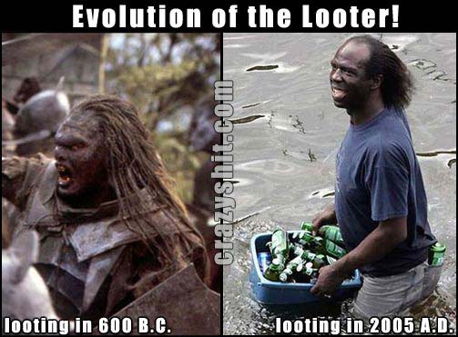 Evolution Of The Looter
