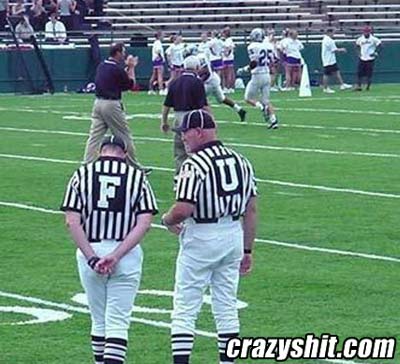 Even The Refâ€™s Donâ€™t Like the Dolphins