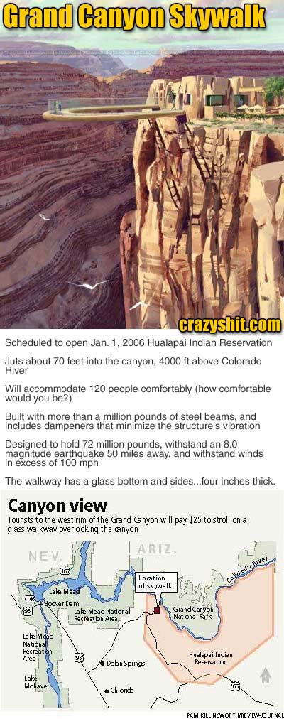 Grand Canyon Skywalk, Would You Do It?