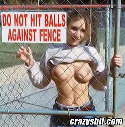 Do Not Hit Balls Against The Fence
