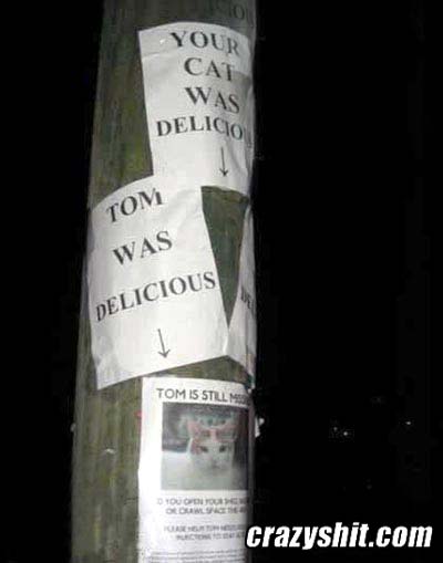 Tom Was Delicous