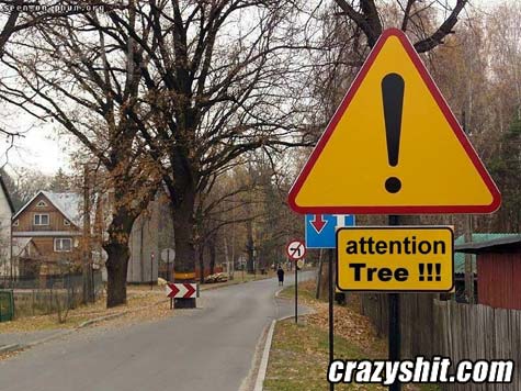 Attention Tree