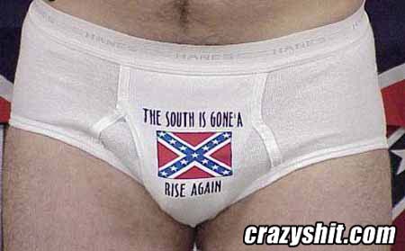 The South Is Gone' A Rise Again