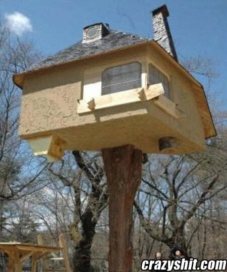 Tree House Of The Year