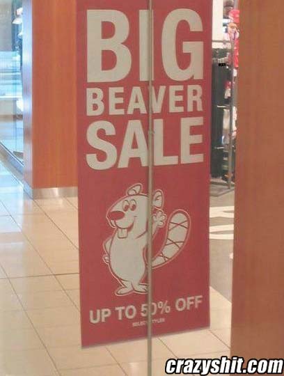 Beaver Sale