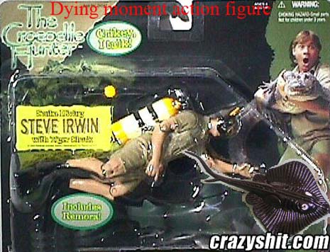 User Submitted: Steve Irwin Action Figure